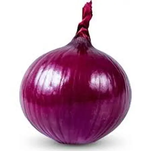 Take Onions Today